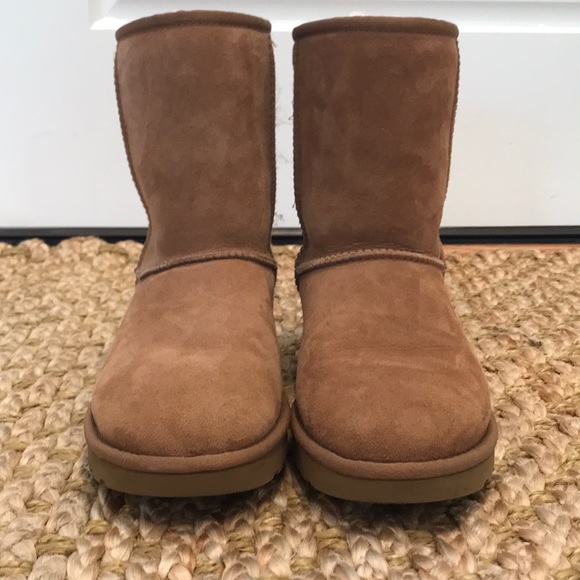 UGG Shoes - brown uggs